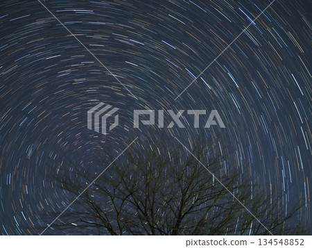 Cherry blossom trees and star trails in December (20251218043356) Cherry blossom trees and star trails in December (20251218043356) 134548852