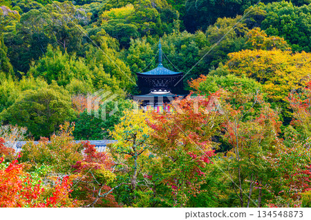 京都永觀堂的秋景 京都永觀堂的秋景 134548873