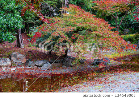 Fall of Kyoto gyoen 134549005