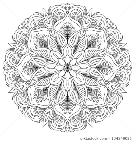 Intricate detailed floral mandala with feather patterns for adult coloring page and zen meditation Intricate detailed floral mandala with feather patterns for adult coloring page and zen meditation 134549025