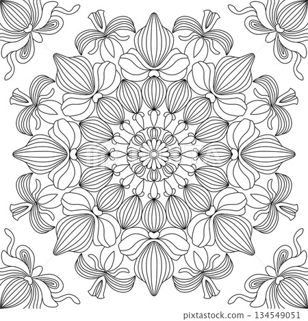 Elegant orchid floral mandala pattern for adult coloring page and zen meditation relaxation 134549051