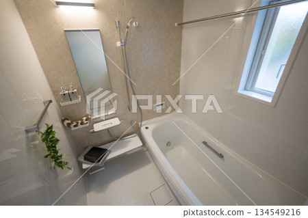 Unit bath bathroom 134549216