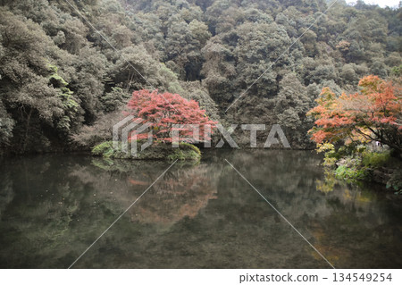 Autumn Trees in Full Colour in Hangzhou, China 134549254