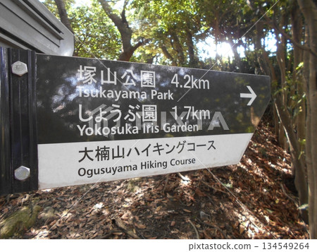 Okusuyama Hiking Course No. 17 134549264