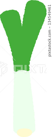 手繪單一圖示插圖蔬菜蔥 134549461