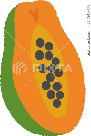 Hand-drawn single icon illustration Fruit Papaya 134549475