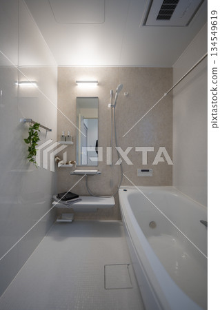 Unit bath bathroom 134549619