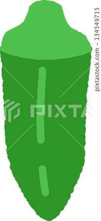 Hand-drawn single icon illustration Vegetable Okra Hand-drawn single icon illustration Vegetable Okra 134549715