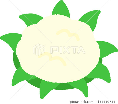 Hand-drawn simple icon illustration: Cauliflower Hand-drawn simple icon illustration: Cauliflower 134549744