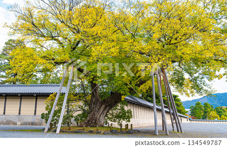 京都禦所,清水穀家宅邸 京都禦所,清水穀家宅邸 134549787