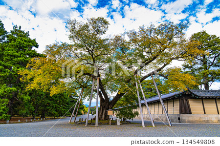 京都禦所,清水穀家宅邸 京都禦所,清水穀家宅邸 134549808