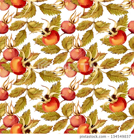 Seamless pattern of rose hips, berries, and green leaves isolated on a white background. Hand-drawn botanical rose hip branch. Clipart for a herbal tea label. Seamless pattern of rose hips, berries, and green leaves isolated on a white background. Hand-drawn botanical rose hip branch. Clipart for a herbal tea label. 134549837