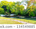 Kyoto Gyoen, gardens at the site of the Kan'in Palace 134549885