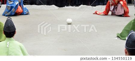 下鴨神社的菖蒲 134550119