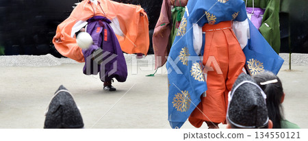 下鴨神社的菖蒲 134550121