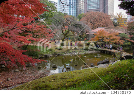 Autumn leaves and pond at Koishikawa Korakuen Garden. Autumn scenery of a Japanese garden surrounded by urban buildings. Autumn leaves and pond at Koishikawa Korakuen Garden. Autumn scenery of a Japanese garden surrounded by urban buildings. 134550170