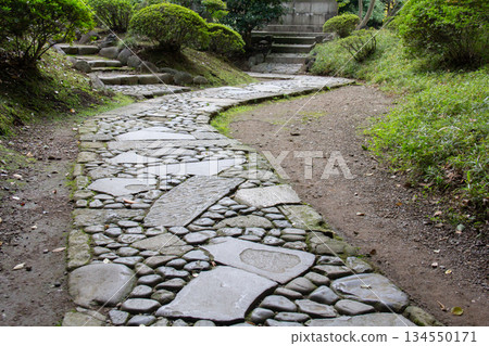 Koishikawa Korakuen Garden's stone-paved garden path A quiet stroll through the Japanese garden Koishikawa Korakuen Garden's stone-paved garden path A quiet stroll through the Japanese garden 134550171
