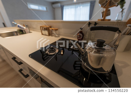 Fashionable stove Luxury stove 134550220