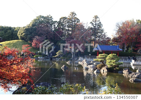 Daisen Park, Sakai City, Japanese Garden, Park, Autumn Foliage Spot, Autumn Foliage Viewing, Sakai Citizens, Pre-wedding Photo Shoot 134550307