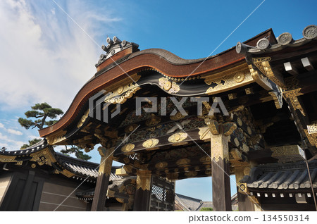 Nijo Castle 134550314