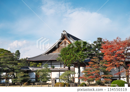 二條城 134550319