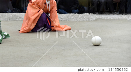 下鴨神社的菖蒲 134550362