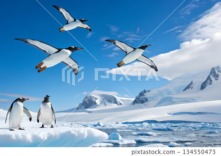 Penguins flying over Antarctica and penguins standing on land 134550473