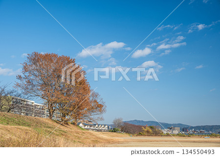 Katsura River riverside plaza, Matsuo Ground, Kyoto City 134550493