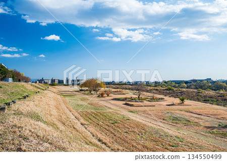 京都市桂川河畔廣場、桂川運動公園 京都市桂川河畔廣場、桂川運動公園 134550499
