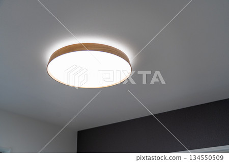 Lighting equipment in the room 134550509