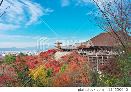 Temple 134550640