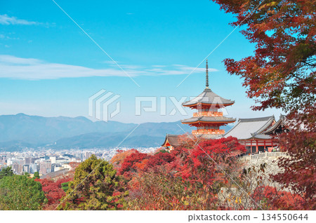 清水寺 清水寺 134550644