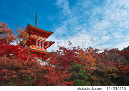 Temple Temple 134550650