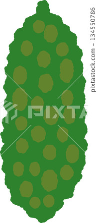 Hand-drawn single icon illustration Vegetable Bitter melon Hand-drawn single icon illustration Vegetable Bitter melon 134550786