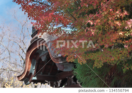 Autumn leaves of Kiyomizudera Autumn leaves of Kiyomizudera 134550794