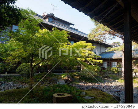 Beautiful spring courtyard with fresh greenery Beautiful spring courtyard with fresh greenery 134550949