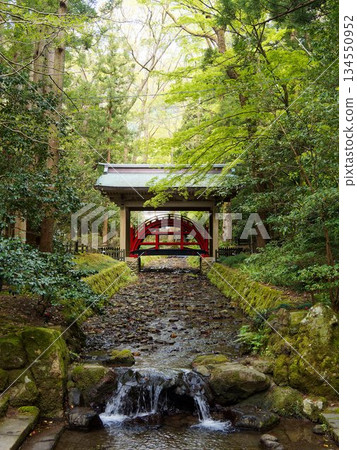 通往彌彥神社的道路綠樹成蔭,生機盎然。 通往彌彥神社的道路綠樹成蔭,生機盎然。 134550952