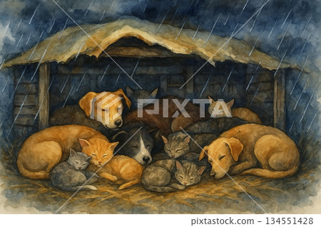 雨夜中相互依偎取暖的流浪狗與貓 水彩溫柔插畫 134551428