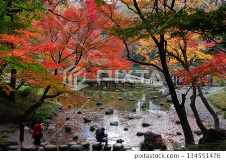 小石川後樂園的秋葉與池塘。色彩繽紛的秋日式庭園,林間石板路,行人悠閒漫步。 小石川後樂園的秋葉與池塘。色彩繽紛的秋日式庭園,林間石板路,行人悠閒漫步。 134551476