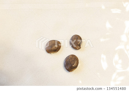 Wisteria seeds Wisteria seeds 134551480