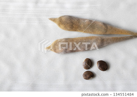 Wisteria seeds 134551484