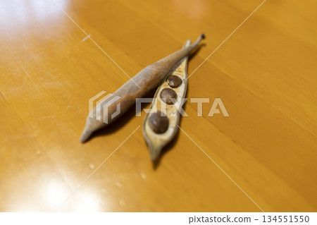 Wisteria seeds 134551550