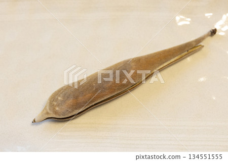 Wisteria seeds Wisteria seeds 134551555