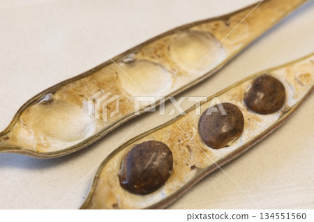 Wisteria seeds Wisteria seeds 134551560