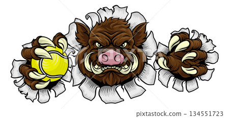 Boar Wild Hog Razorback Warthog Pig Tennis Mascot Boar Wild Hog Razorback Warthog Pig Tennis Mascot 134551723