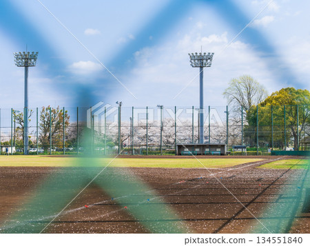 棒球，棒球場圖片 134551840