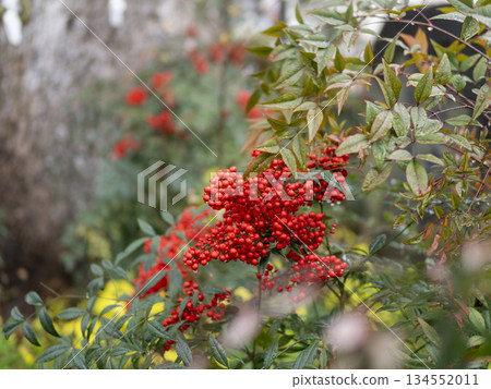南方的天空在雨中濕潤 134552011