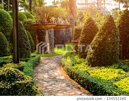 Luxury landscape design of the tropical garden. Luxury landscape design of the tropical garden. 134552160
