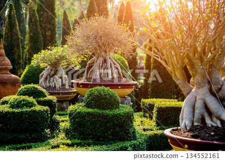 Luxury landscape design of the tropical garden. Luxury landscape design of the tropical garden. 134552161