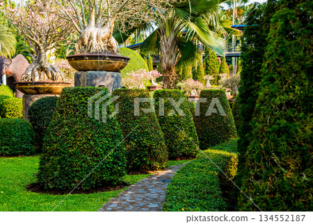 Luxury landscape design of the tropical garden. Luxury landscape design of the tropical garden. 134552187